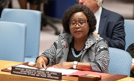 Security situation in Sahel remains very worrying, Security Council warned